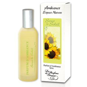  spray 100 ml SOUS LE SOLEIL